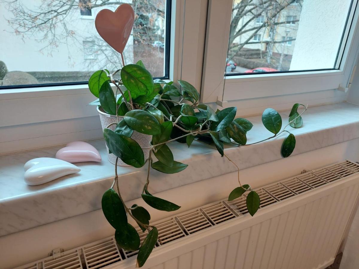 Helles Modern Eingerichtetes Apartment Halle  المظهر الخارجي الصورة