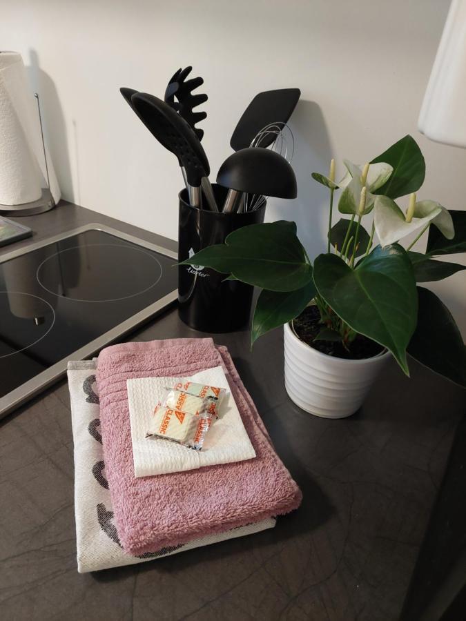 Helles Modern Eingerichtetes Apartment Halle  المظهر الخارجي الصورة