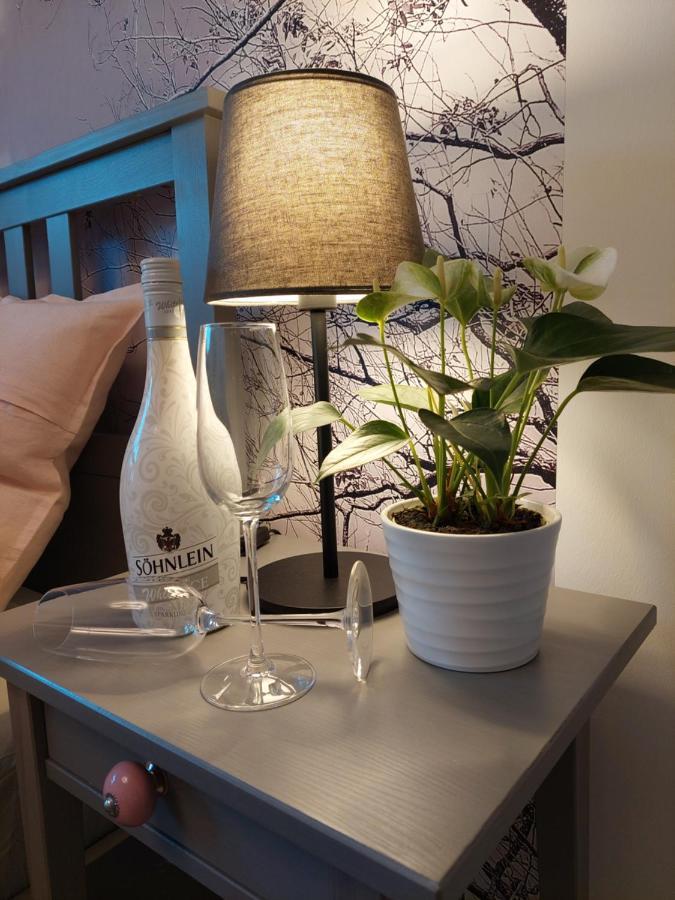 Helles Modern Eingerichtetes Apartment Halle  المظهر الخارجي الصورة